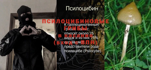 кокс Белоозёрский