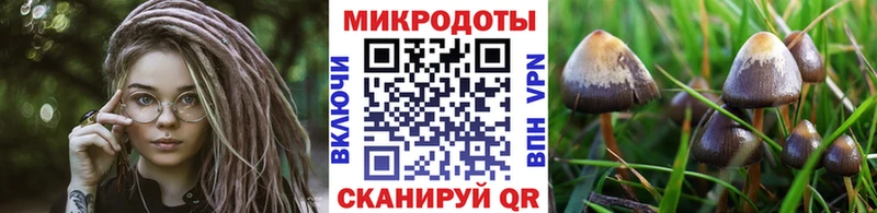 купить наркотик  Боровск  Галлюциногенные грибы GOLDEN TEACHER 